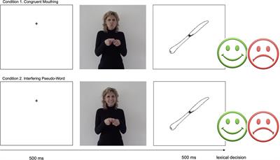 Manual and Spoken Cues in French Sign Language’s Lexical Access: Evidence From Mouthing in a Sign-Picture Priming Paradigm